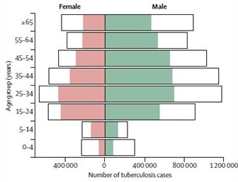 Global incidence of tuberculosis by age and sex, 2016 (WHO, 2017)